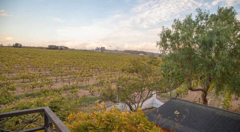 Photo of King of the Casa