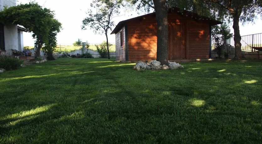 Photo of King of the Casa