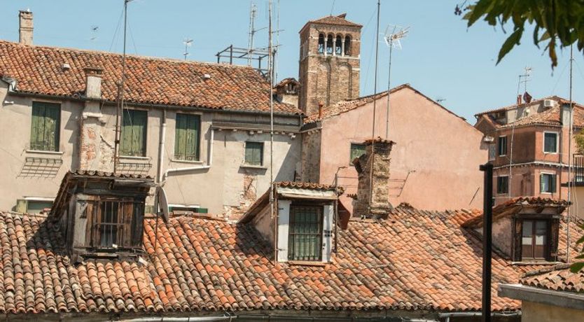 Photo of Sweet Scented Wisteria