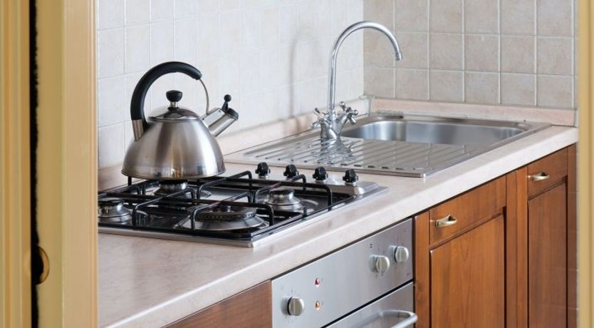 Photo of Sweet Scented Wisteria