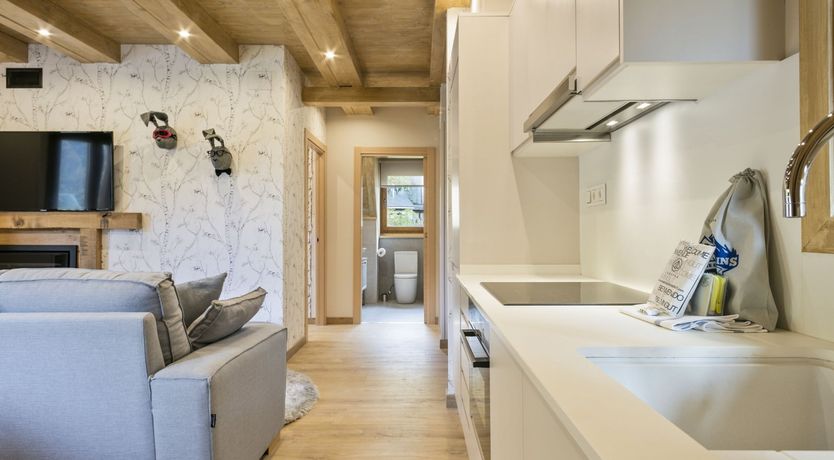 Photo of Flight of the Snowfinch