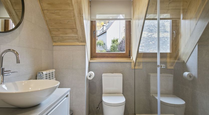 Photo of Flight of the Snowfinch