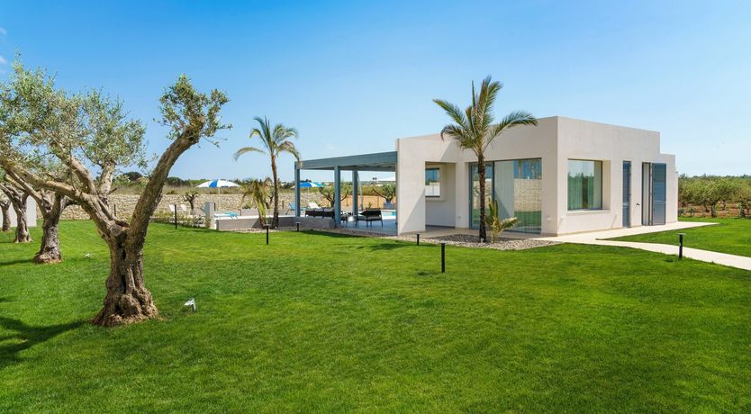 Photo of Turquoise Gaze