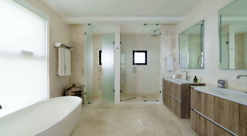 Photo of Ocean Plants