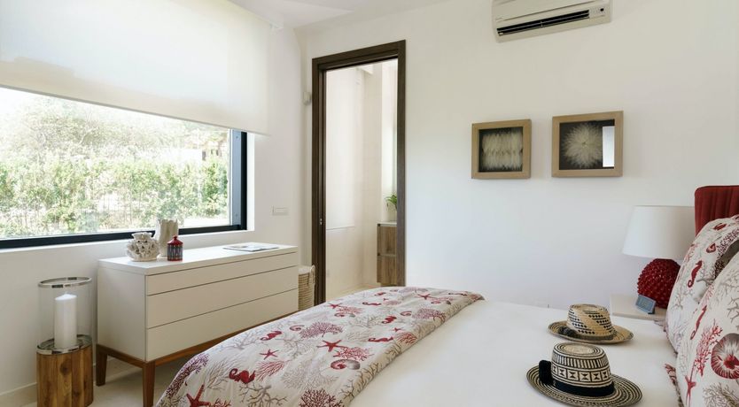 Photo of Ocean Plants