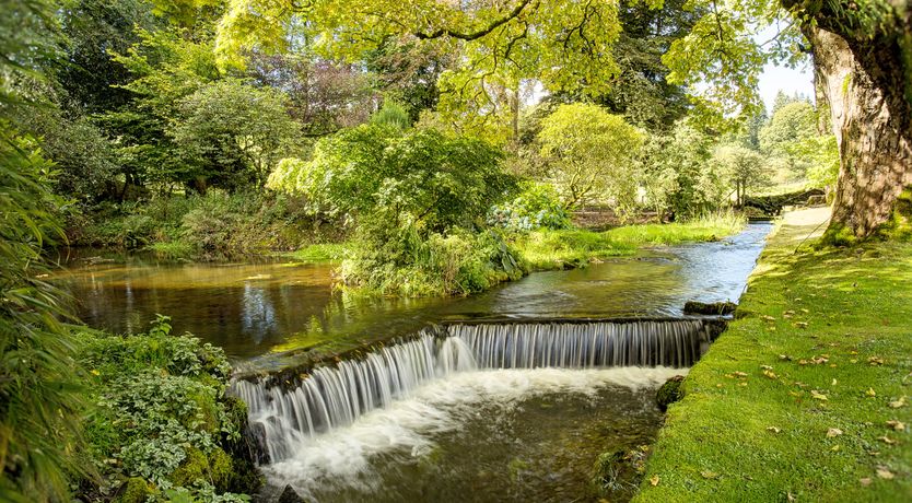 Photo of Nature’s Fairest Forms