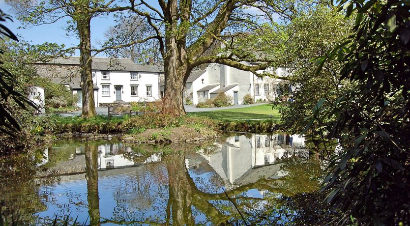 Photo of Nature’s Fairest Forms