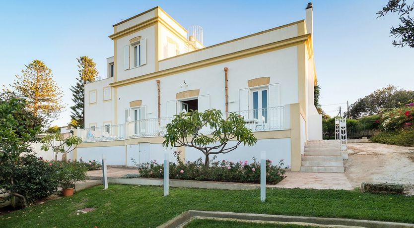 Photo of Sicilian Bloom