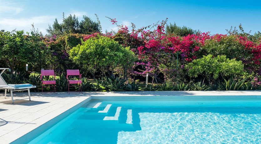 Photo of Sicilian Bloom