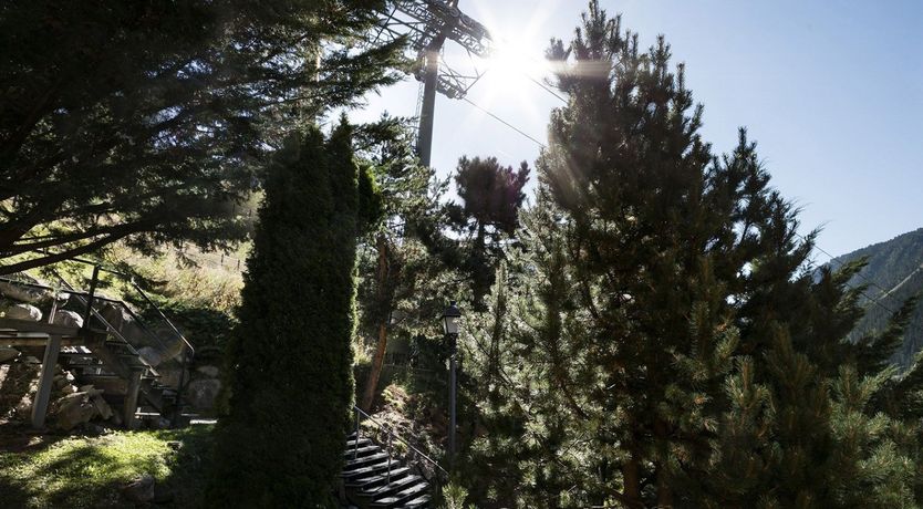 Photo of Pyrenean Bloom