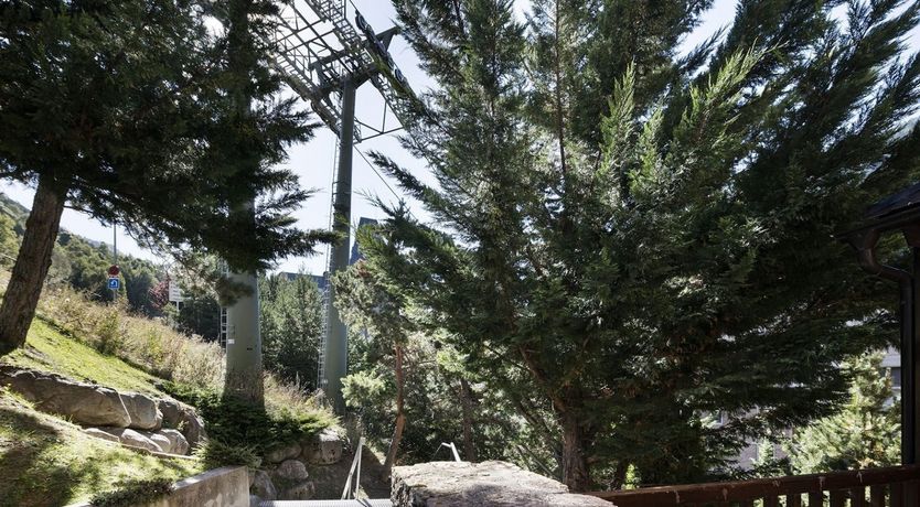 Photo of Pyrenean Bloom