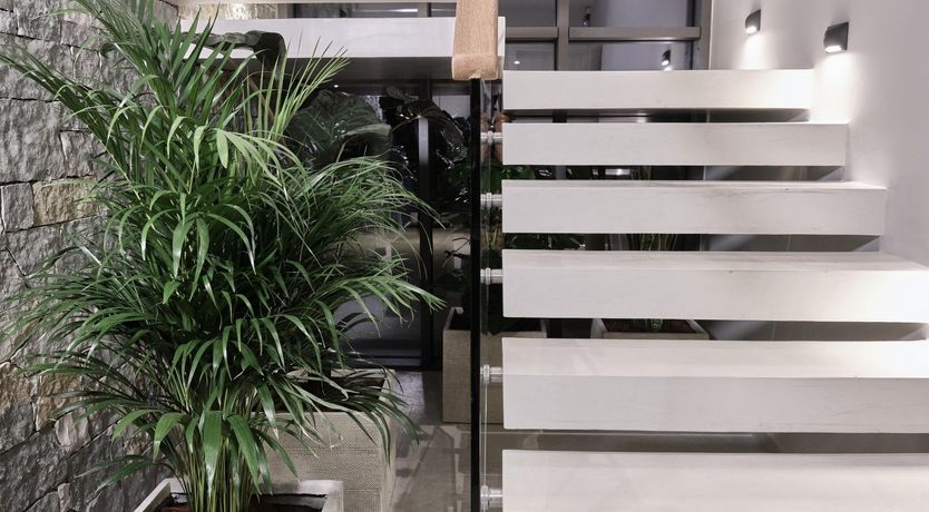 Photo of Centre of Attention