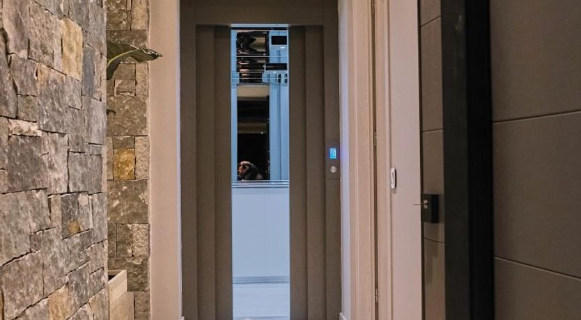 Photo of Centre of Attention