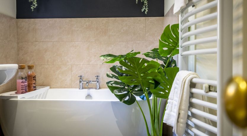 Photo of Twinkling Fairy Lights