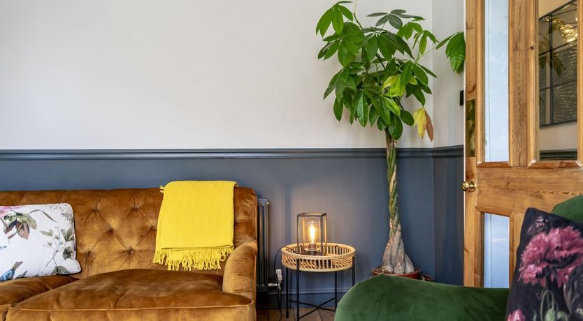 Photo of Twinkling Fairy Lights