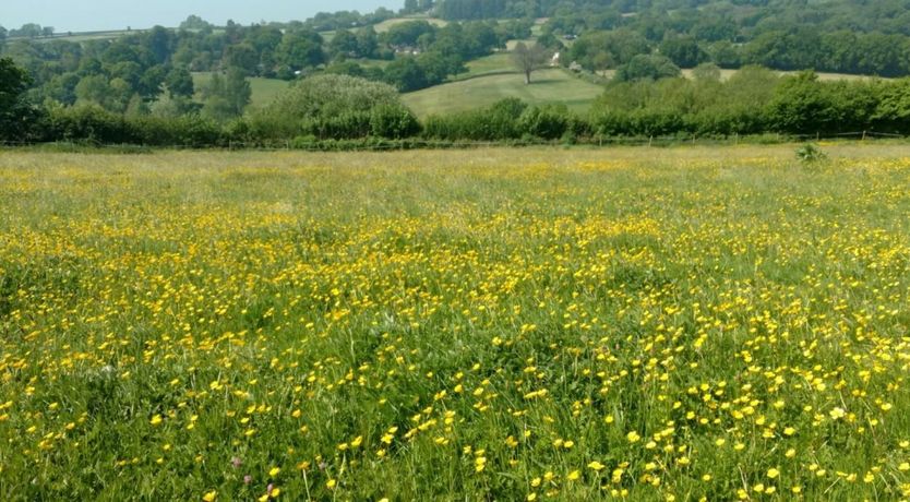 Photo of 2 Bed in Tytherleigh