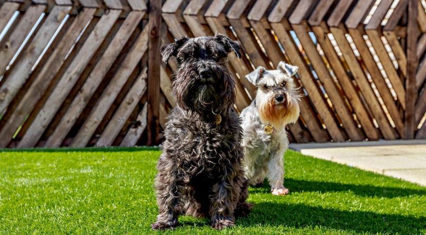 Photo of 2 Bed in Tytherleigh