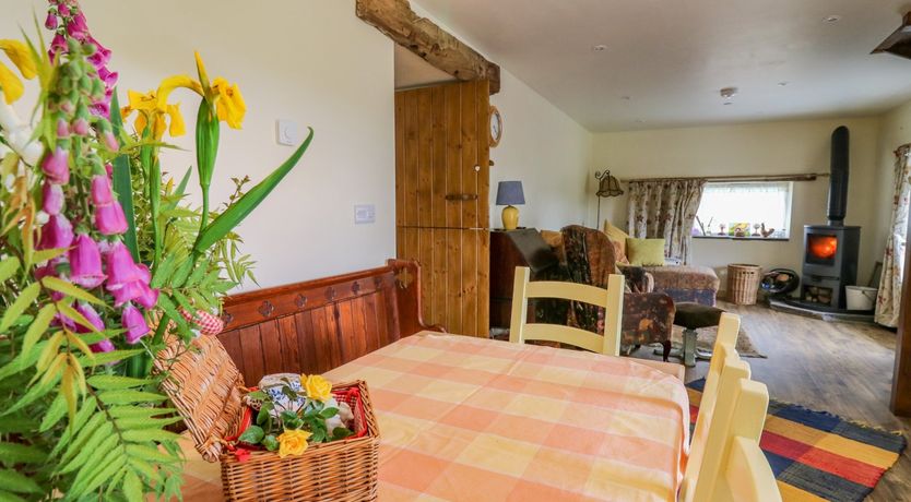 Photo of Buzzards Breg