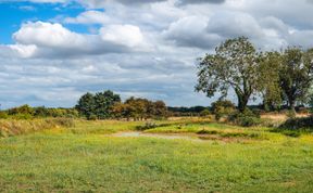 Photo of Indrek - Mayflower Meadow