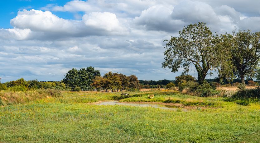 Photo of Indrek - Mayflower Meadow