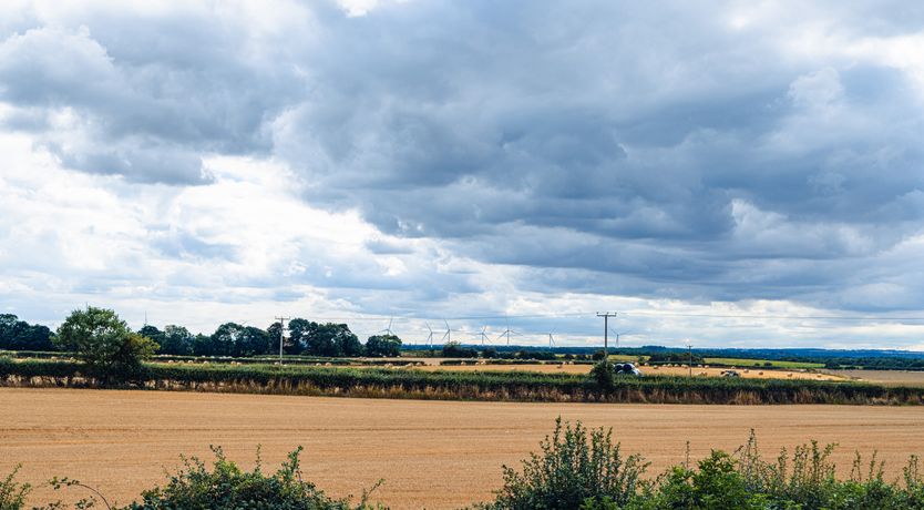 Photo of Indrek - Mayflower Meadow