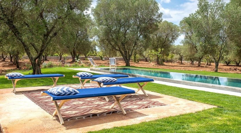 Photo of Timeless Whisper