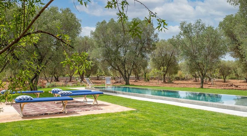 Photo of Timeless Whisper