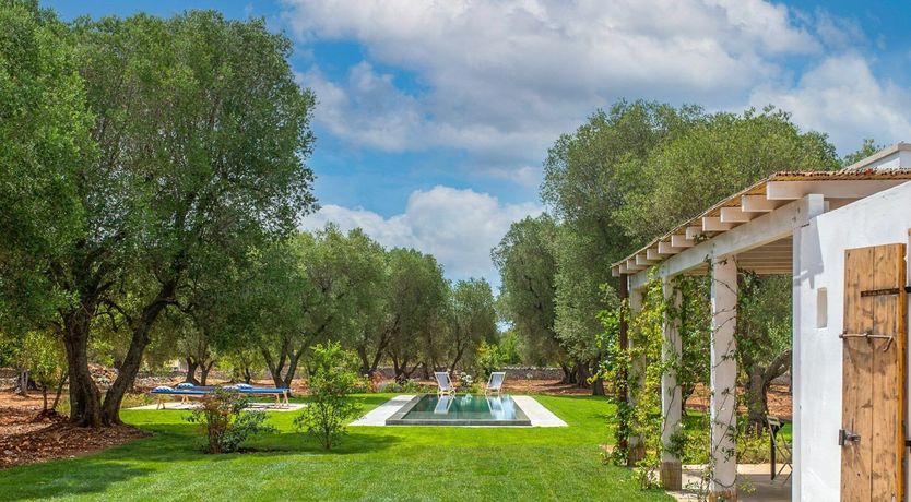 Photo of Timeless Whisper