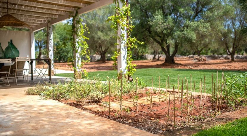 Photo of Timeless Whisper