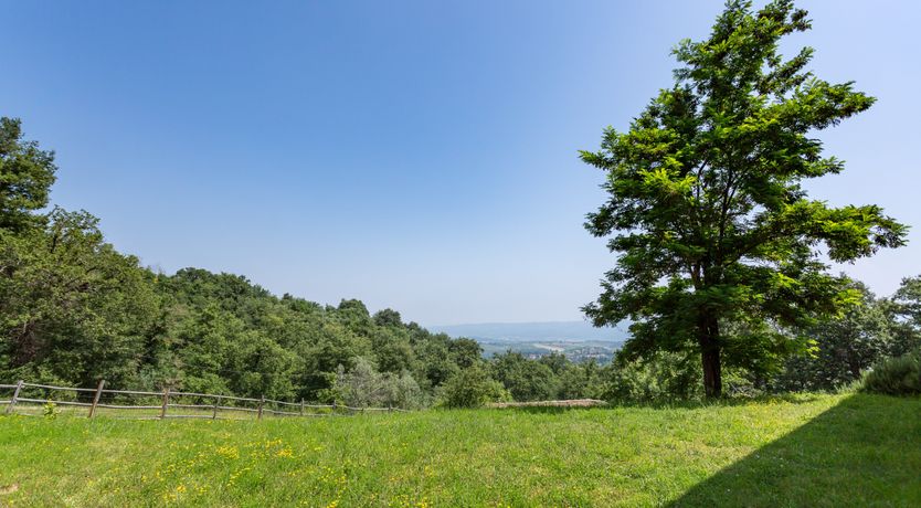 Photo of Honey & Lavender