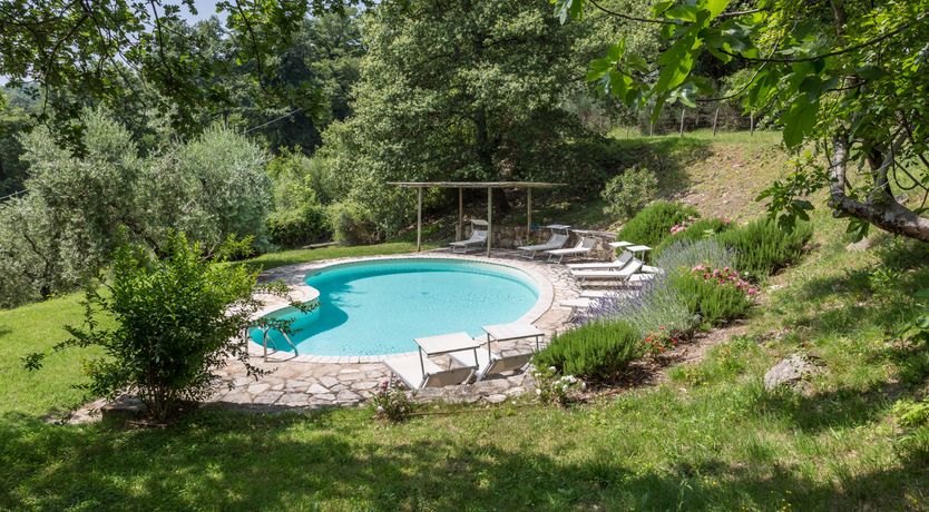 Photo of Honey & Lavender