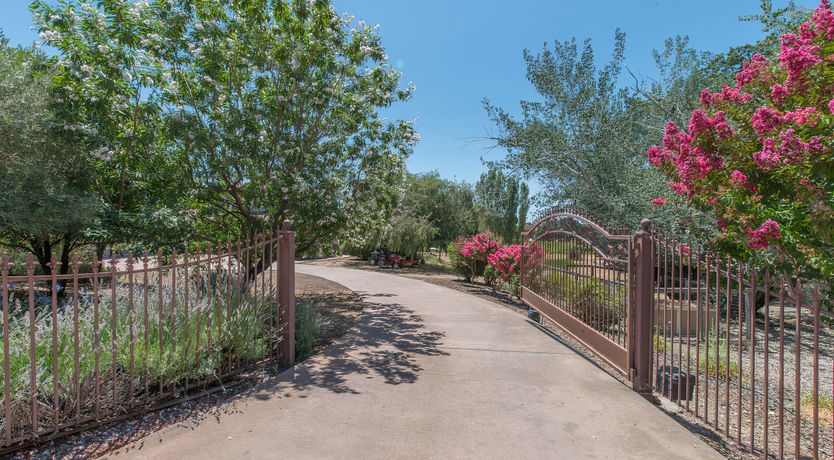 Photo of Vineyard Views