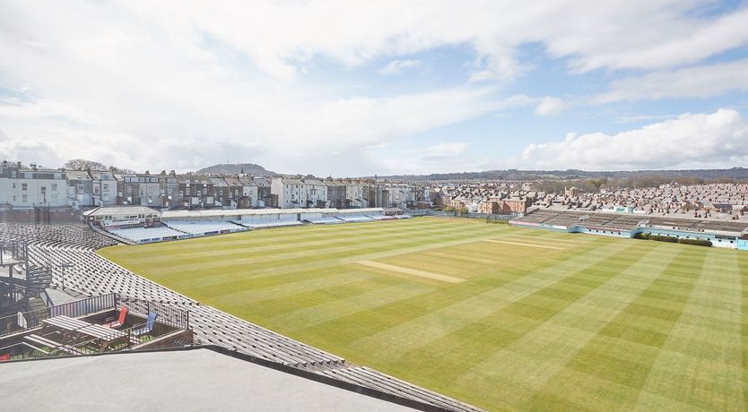 Photo of Golden Duck