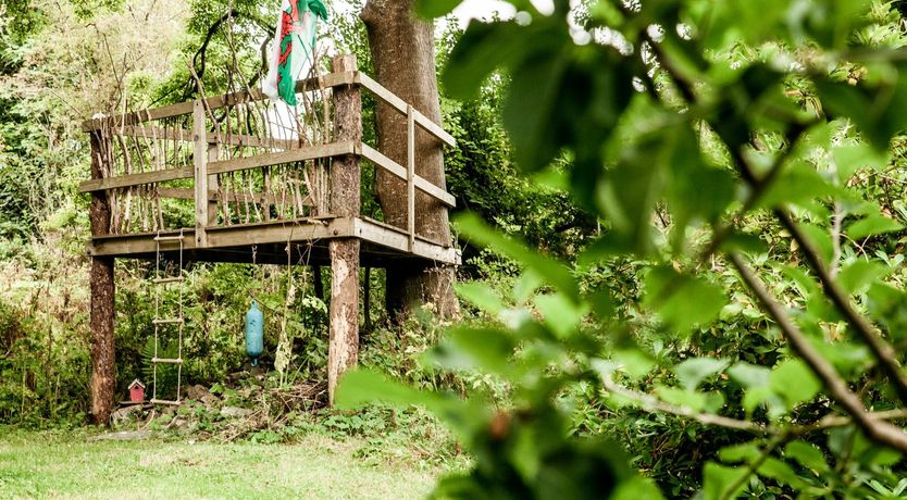 Photo of Where Fairies Dance