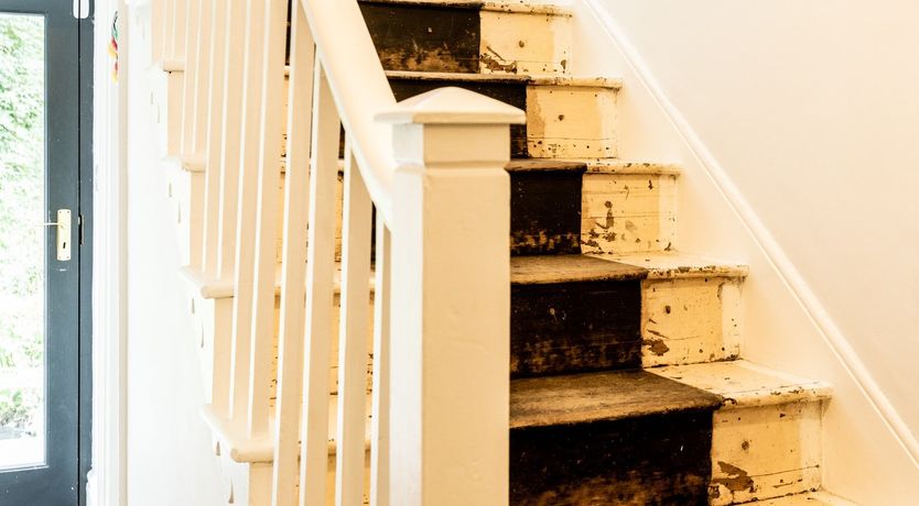 Photo of Where Fairies Dance