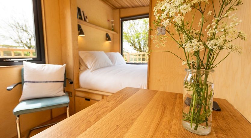 Photo of Beneath a Starlit Sky