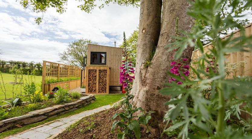 Photo of Beneath a Starlit Sky