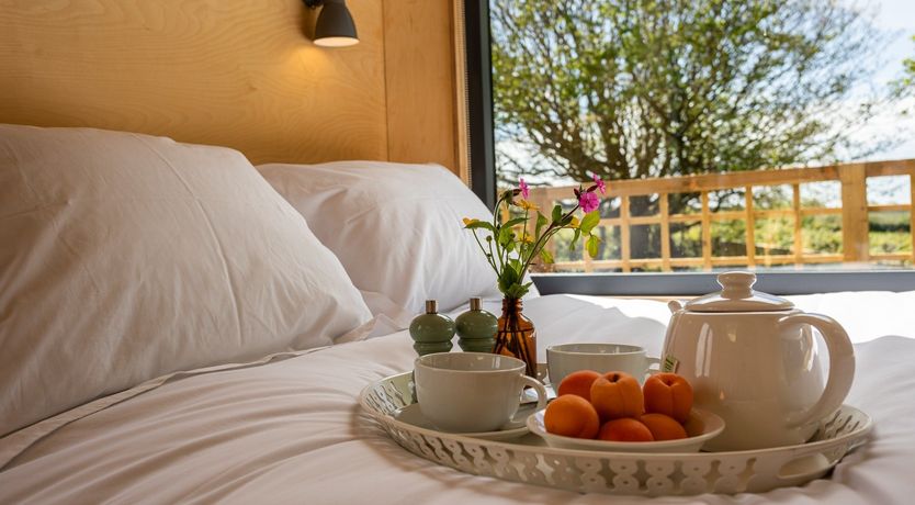 Photo of Beneath a Starlit Sky