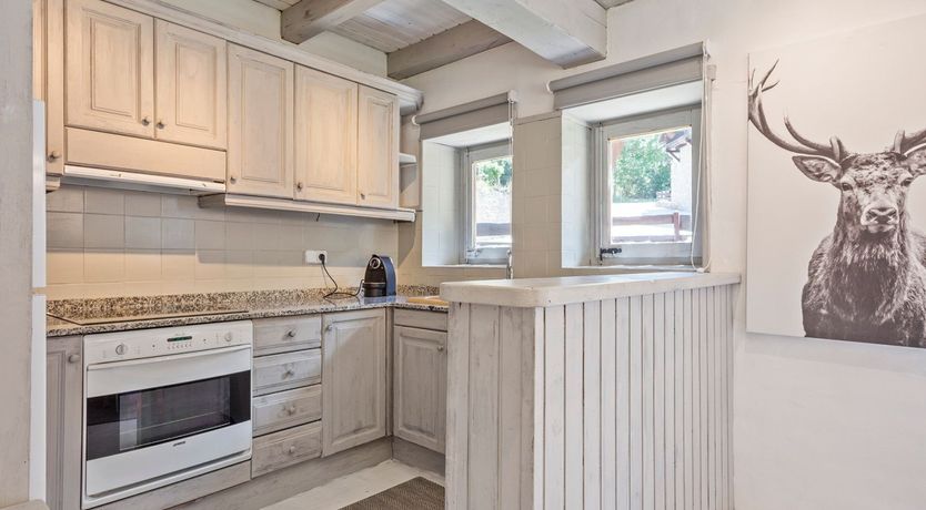 Photo of Stag of Ivory