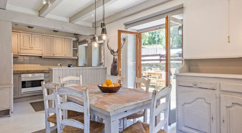 Photo of Stag of Ivory