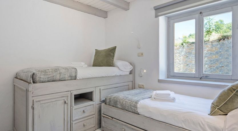 Photo of Stag of Ivory