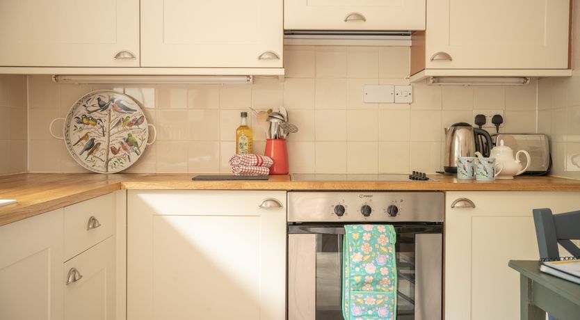 Photo of Blooming Rose