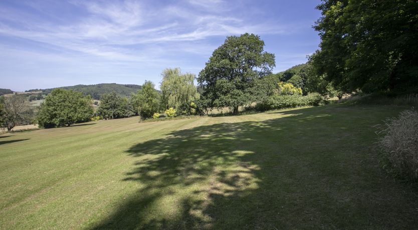 Photo of Blooming Rose