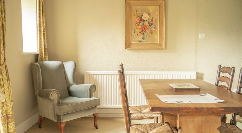 Photo of Blooming Rose