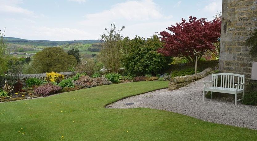 Photo of Blooming Rose