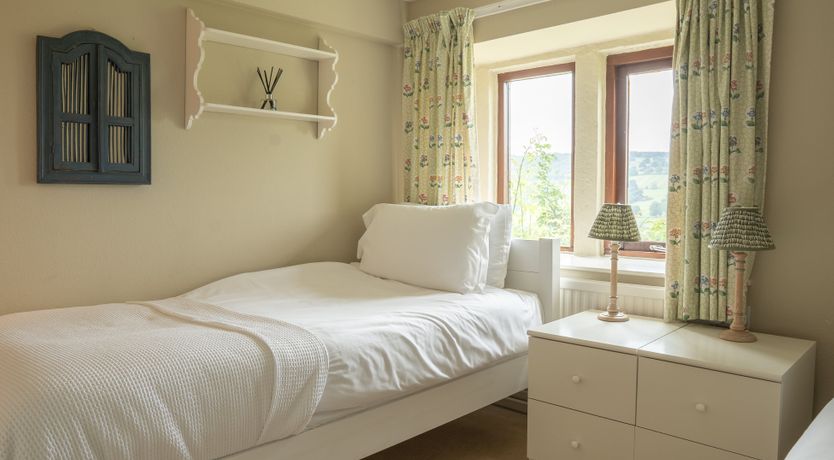 Photo of Blooming Rose