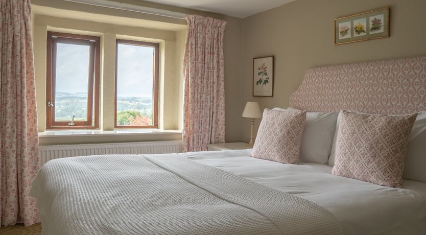 Photo of Blooming Rose