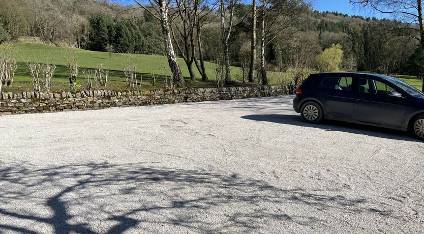 Photo of Blooming Rose