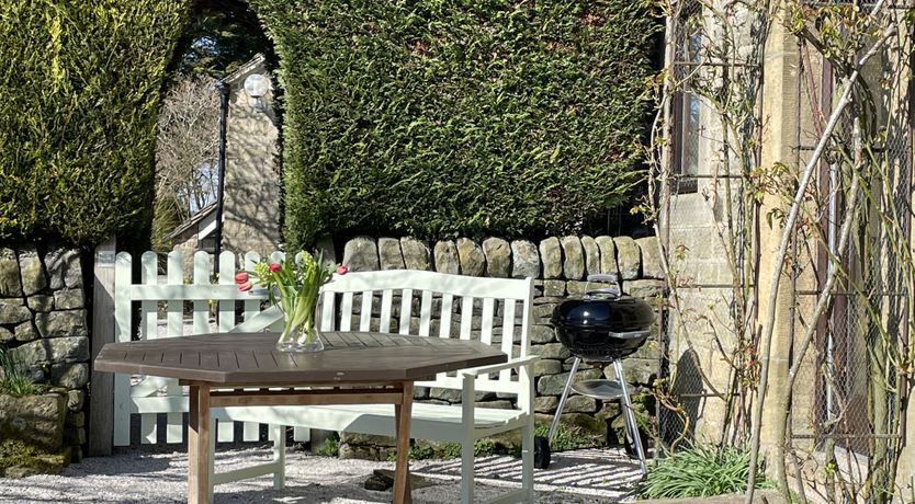 Photo of Blooming Rose