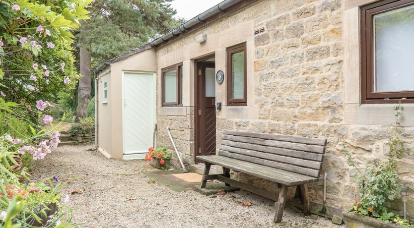 Photo of Blooming Rose